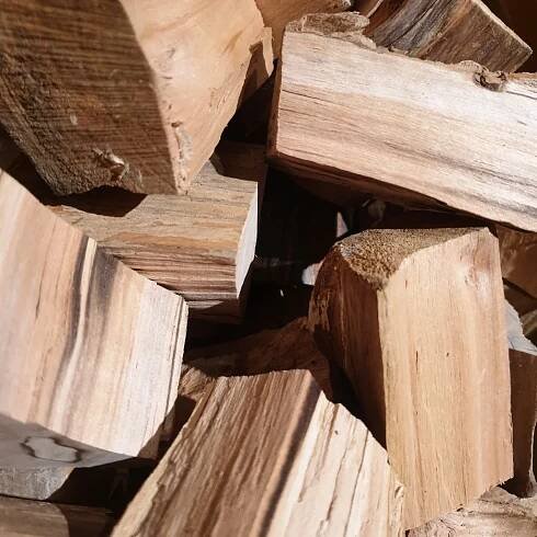 Is Apple Firewood Any Good for Burning? - Awesome Axes