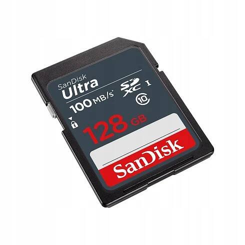 SanDisk SDXC 128 GB SDSDUNR-128G-GN3IN