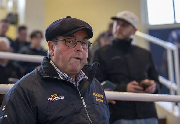 Craven Breeze Up Sale 2025 - Tattersalls