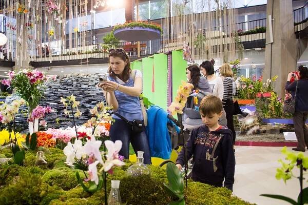 Fotogalerie: Začala jarní Flora: hlavní expozice bere dech - OLOMOUC.CZ