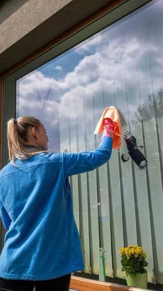 ASTREMA PLUS - Bezpečnostní služby, úklidové služby a zahradní služby