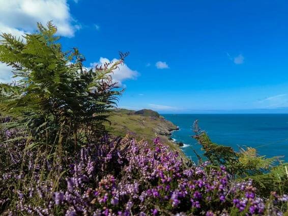 Isle of Anglesey Coastal Path Walking Holidays | 2025 & 2026