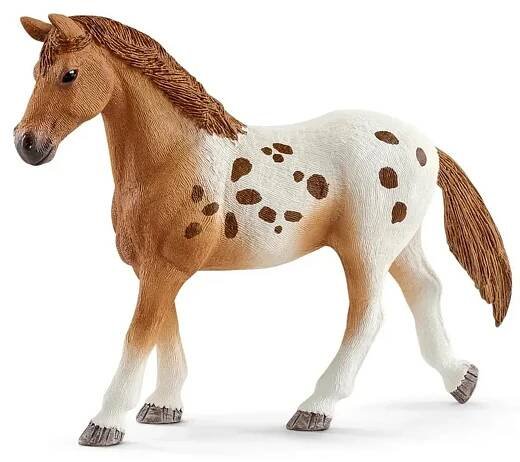 Schleich Set appalosští koně a tréninkové příslušenstí 42433