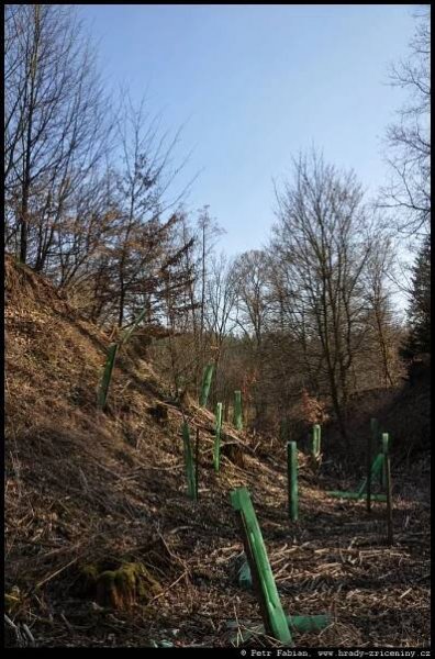Horní Lhotice – horní hrádek – fotografie / hrady-zriceniny.cz