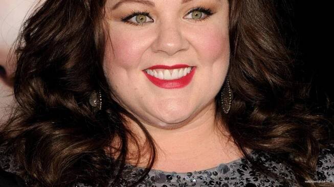 Melissa McCarthy Identity Thief Movie Premiere Wallpaper