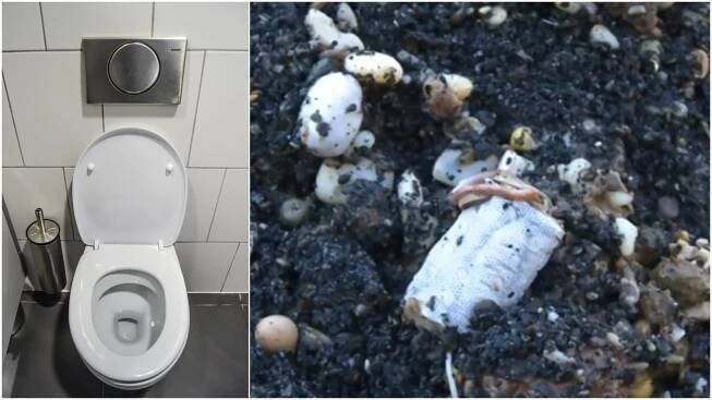 5 vážných důsledků vyhazování odpadků do záchodu