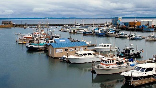 Seafood Connection Image-2.jpg