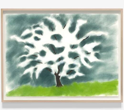 David Nash - artiste - Galerie Lelong