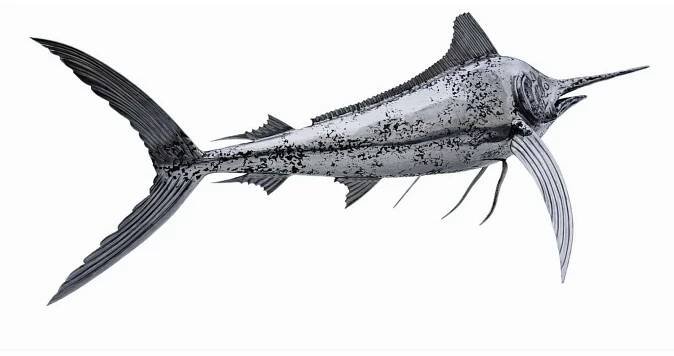 AMFITRYTA I DELFIN