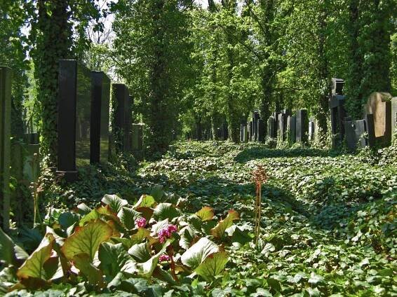 View of part of the Jewish Cemetery in Žižkov