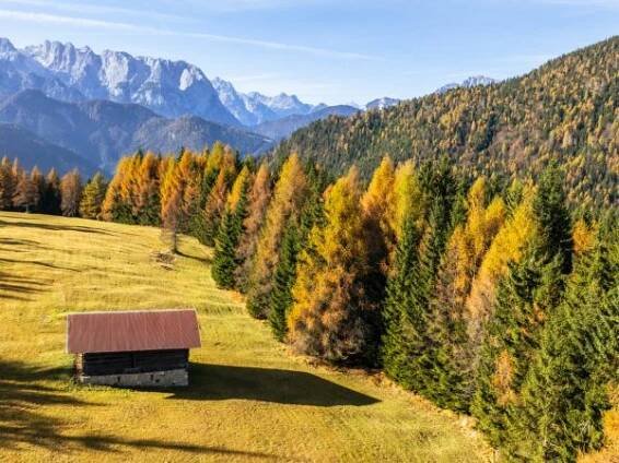 Autunno in Auronzo_Credit Riccardo Selvatico0062