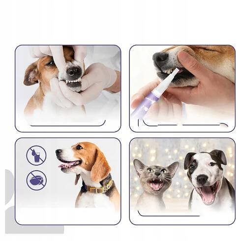 Pet Oral Repair Gel Obnova ústní dutiny domácích zvířat (2 Ks) za 345.00CZK - Allegro