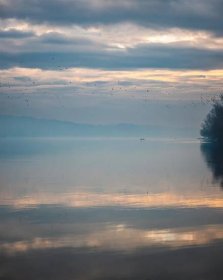 Mlhavý soumrak nad břehem jezera s hejnem ptáků na obloze
