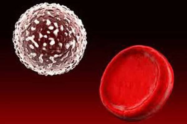 Glykovaná rychlost hemoglobinu v analýze krve / | Užitečné informace a tipy na péči o sebe. Zdraví, výživa a další.