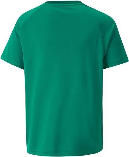Dětský dres s krátkým rukávem Puma JR TEAMVISION JERSEY zelený | AD Sport