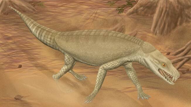 Armadillosuchus arrudai
