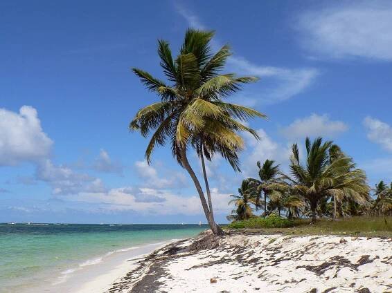 5 Things To Do In Punta Cana