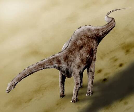 Soubor:Diplodocus BW.jpg – Wikipedie