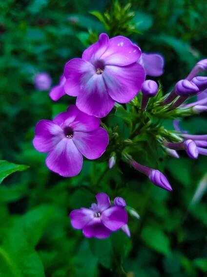 Poetry — Great Abiding Yoga