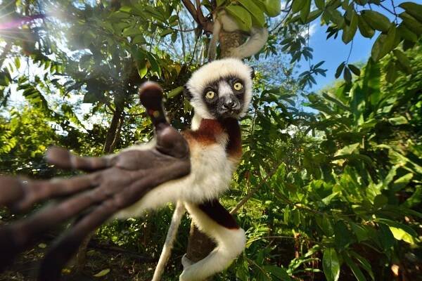 Madagaskar - zájezdy podle Vašeho přání - DOVOLENÁ SNŮ