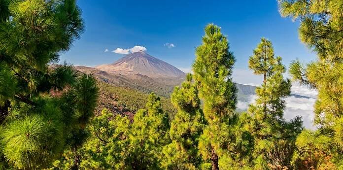 Tenerife s výstupem na Pico del Teide (3718 m n. m.) - CK TREK s.r.o.