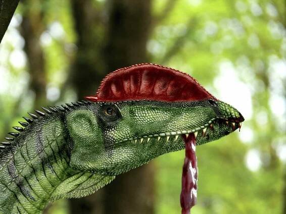 Dilophosaurus with piece of flesh in its mouth