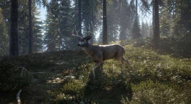 theHunter: Call of the Wild™ -969757