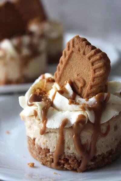 No Bake Mini Lotus Biscoff Cheesecake
