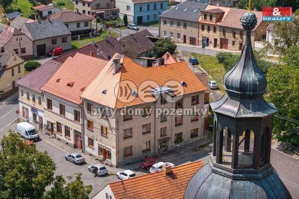 Prodej, Byt 1+kk, Čistá