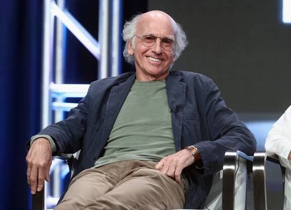 Larry David Wealth