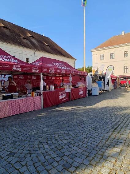 Česnekovky na zámku v Rosicích, Královopolské vinobraní, Rodinné centrum Žirafa – Krajánek Rádia BLANÍK