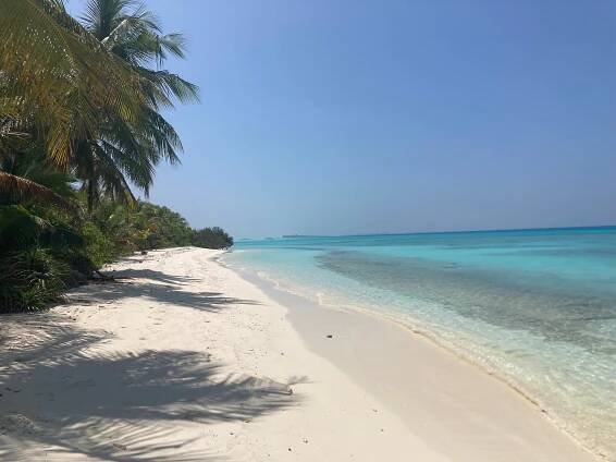 NALA ISLAND VILLAGE - Updated 2025 Prices & Hotel Reviews (Maldives/Maafushi Island)