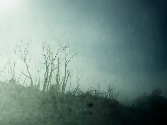 PERSONAL - ROADSIDE | Mat Baker