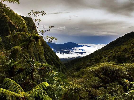 Carrasco National Park 