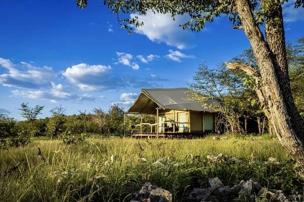 Ongava Tented Camp: Embrace the Wild in Authentic Safari Style