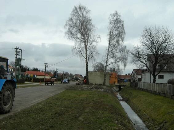 Kácení bříz u hasičárny 12. 3. 2016 - Oficiální stránky obce Sendražice