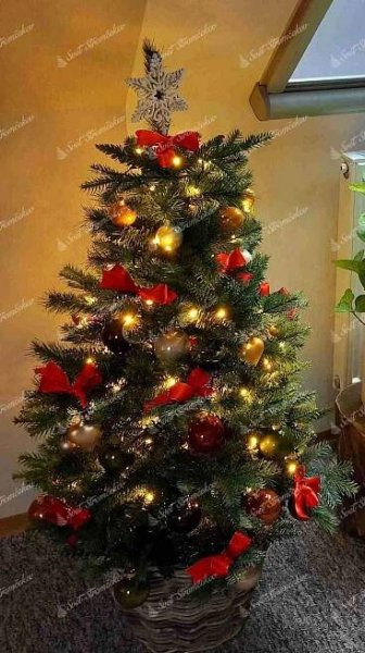 Umelý vianočný stromček 3D Mini Smrek Lesný 105cm v kvetináči, stromček je osadený v kvetináči a je ozdobený zlatými a červenými ozdobami