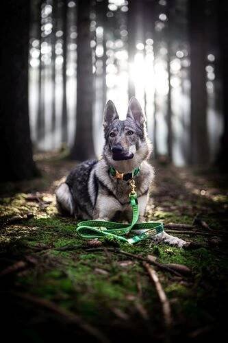 Firemní a produktové focení – Zvyšte prodeje Čistá u Horek Wolves Photographers - Vít Antoš • Firmy.cz