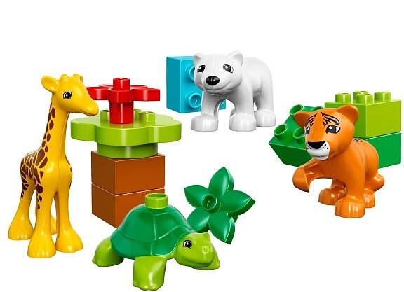 Baby Animals 10801
