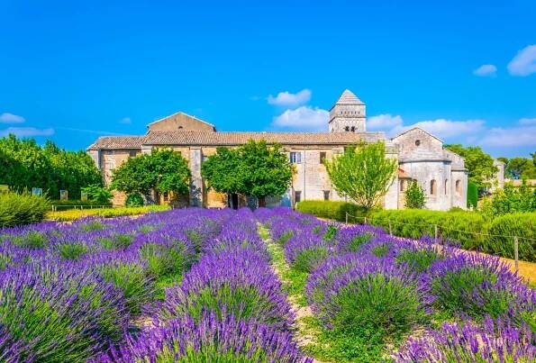 Discover The Best of Saint-Rémy-de-Provence