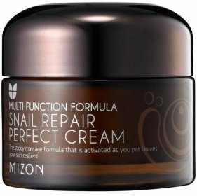 Obrázek MIZON Snail Repair Perfect Cream 50 ml