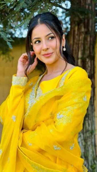 Shehnaaz Gill’s Festive Ethnic Looks for Rakhi
