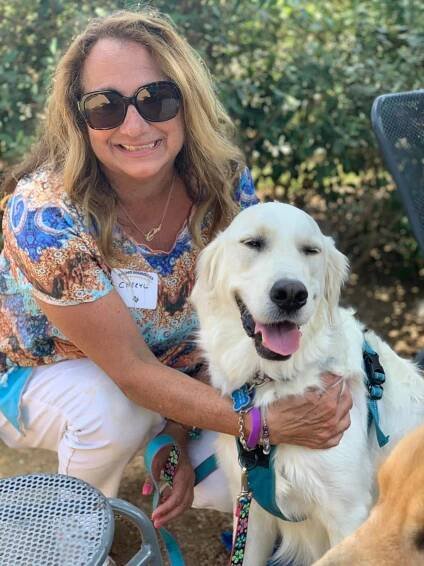 Testimonials — Believe in DOG Training by Stephanie Bennett | Houston | Puppy Training, Leash Reactivity, Adult Dogs, Puppy