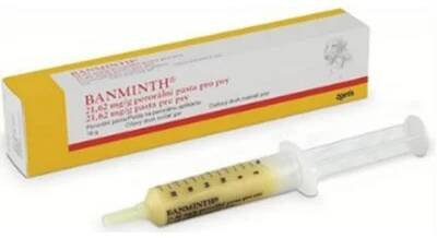 Banminth 21.62mg/g perorální pasta pro psy 24g