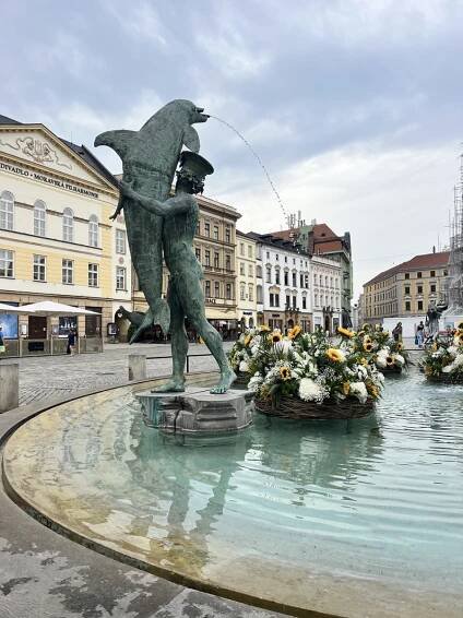 U želv plují květinové kruhy. Arionova kašna v Olomouci ožila atraktivní úpravou