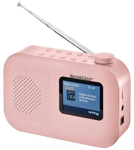 Rádio DAB+ / UKW SDRF 10 B1