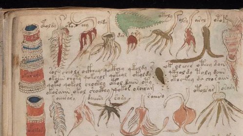 Diskuze - Voynichův rukopis: Nejzáhadnější knihu světa ještě nikdo nerozluštil. Možná pochází z Čech - Seznam Médium