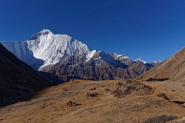 Dhaulagiri Himal