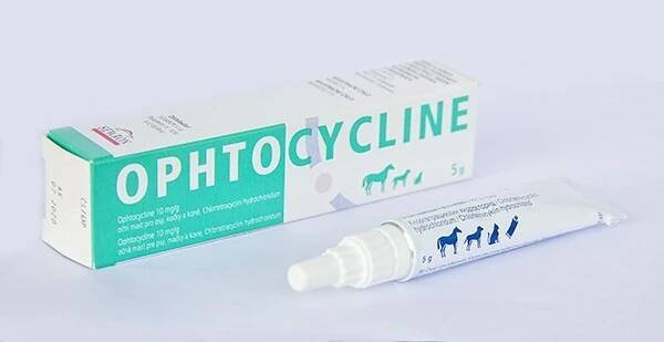 Ophtocycline 10 mg/g (oční mast pro psy, kočky a koně, chlortetracyklin ...