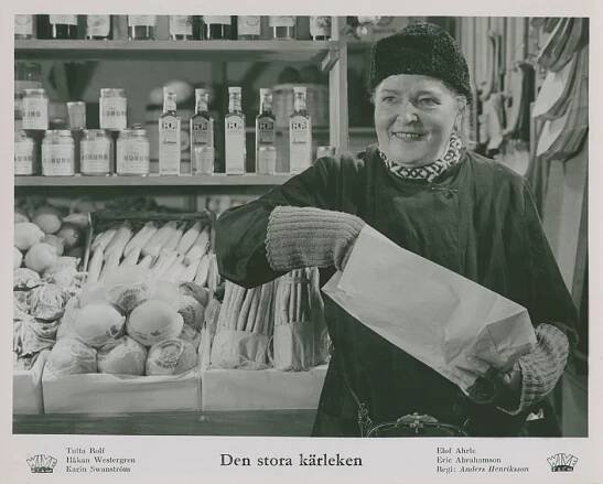 Karin Swanström - Den stora kärleken - Fotosky